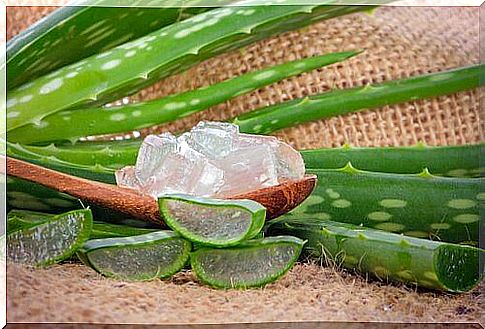 Natural remedies for scabies with aloe vera gel