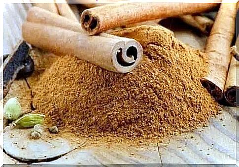 Cinnamon on the list of useful plants for indigestion