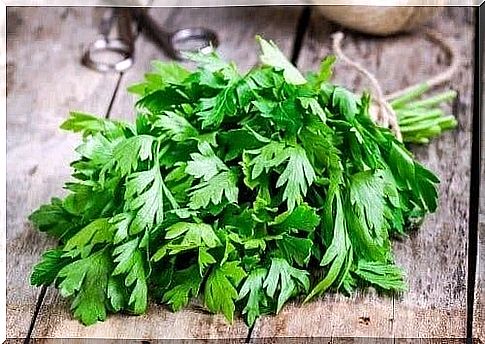 Green parsley