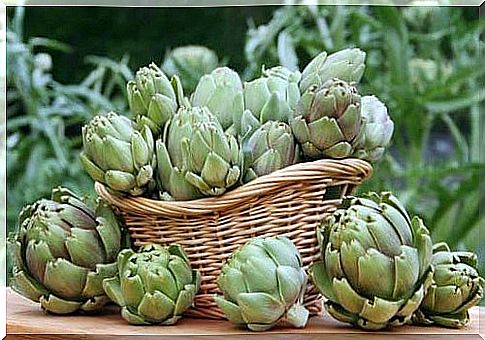 Benefits of fresh artichokes