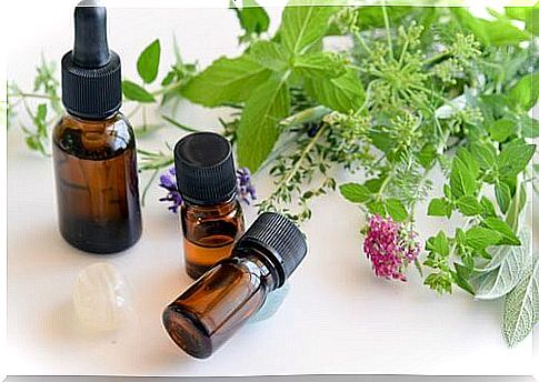 Shrub oil in natural remedies against Candida