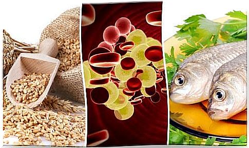 7 foods that regulate cholesterol levels