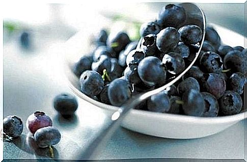 Blueberries regulate cholesterol levels