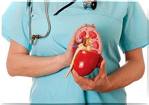 Doctor talking about organs you don't need to live