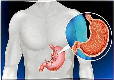 Organs you don't need to live with like a stomach