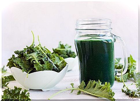 Among the alkaline foods we find those that contain chlorophyll