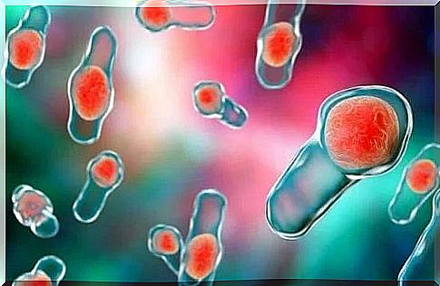 Bacteria that cause diarrhea