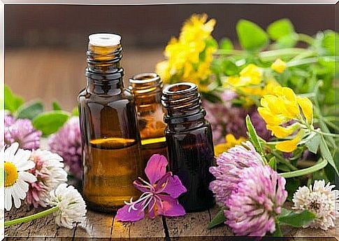 Certain essential oils help you fight anxiety attacks