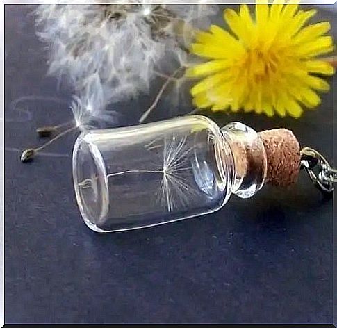 Dandelion glass