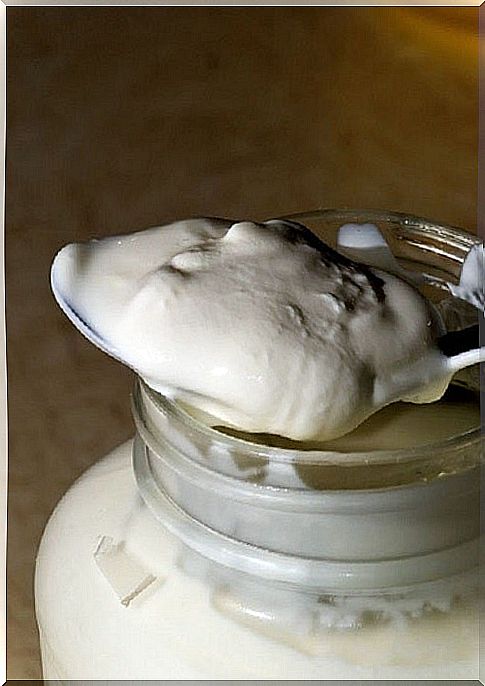 Greek yogurt burns abdominal fat