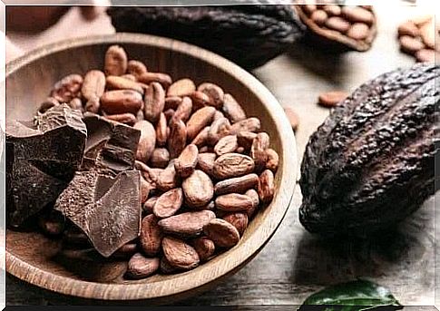 Cocoa beans