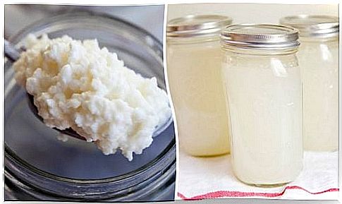 Coconut water kefir: benefits and preparation