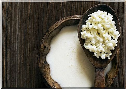 Coconut kefir is good for your health