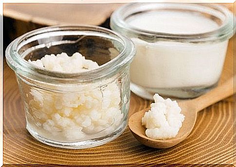 Useful information about coconut kefir