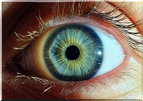 The pupil of the human eye