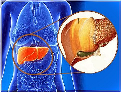 Fatty liver: what it is and how it is treated