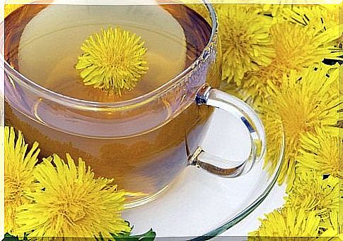 Dandelion for fatty liver