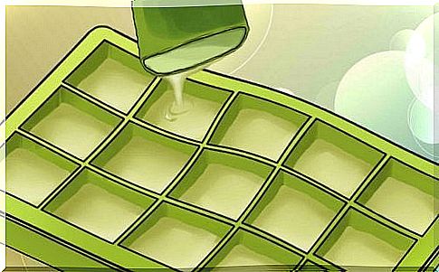 Frozen aloe vera gel: incredible benefits