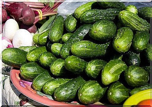 The benefits of cucumbers are also due to the content of vitamins