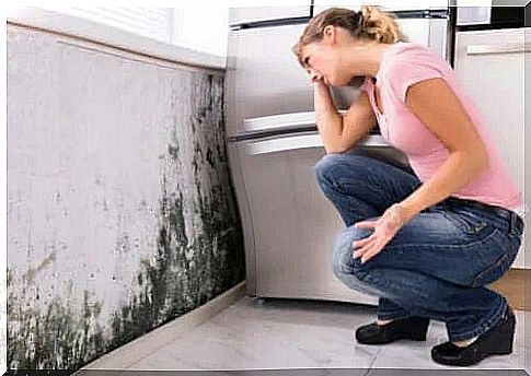 Health problems caused by mold