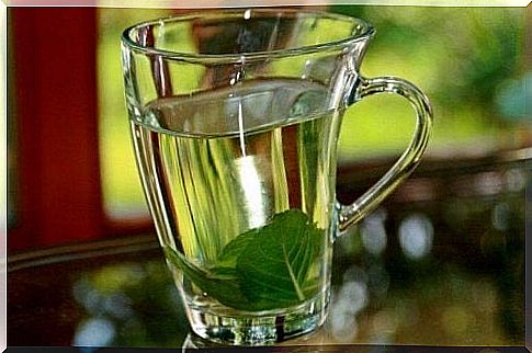 Basil tea for fever