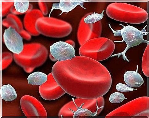 Platelets and red blood cells