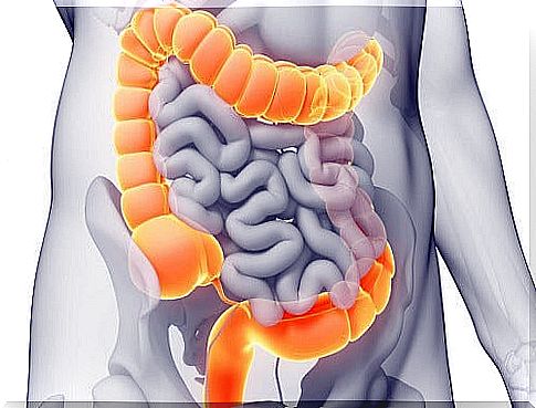 Colon and intestines