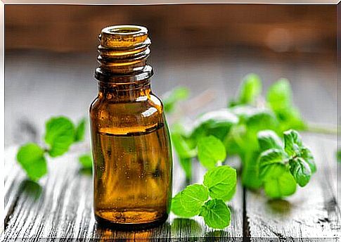 How to get rid of bed bugs with peppermint oil