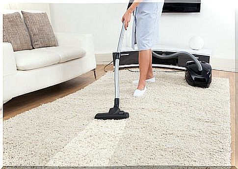 How to get rid of bed bugs with a vacuum cleaner