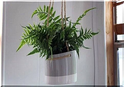 How to make a hanging planter