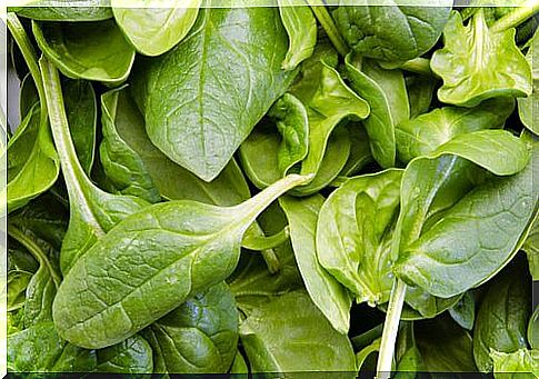 Spinach is a good food for your thyroid