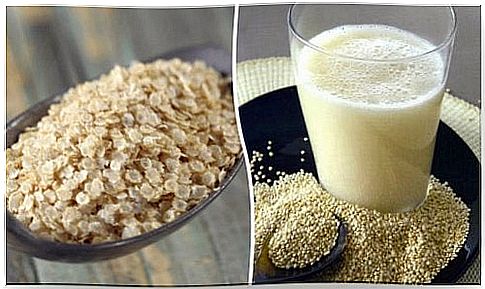 Quinoa milk - preparation and benefits