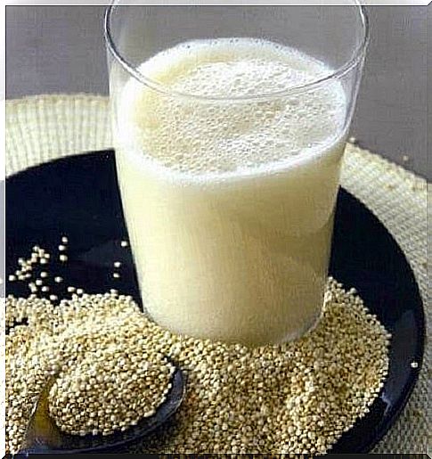 Quinoa milk easy to prepare