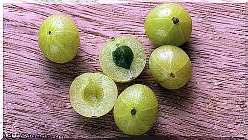 Gooseberries as part of a good diet for people with fatty liver