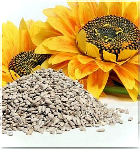 Seeds for treating migraines and their benefits