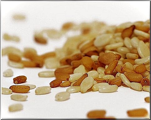 Susan and seeds for the treatment of migraines