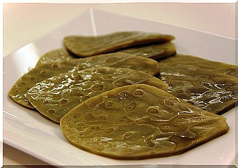 Leaves of nopal cactus