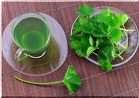 Parsley tea relieves ulcerative colitis