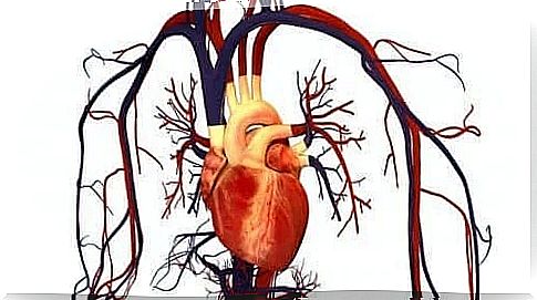 Uses of Atorvastatin for heart health