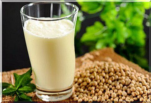 Vegetable milk recipes suitable as snacks