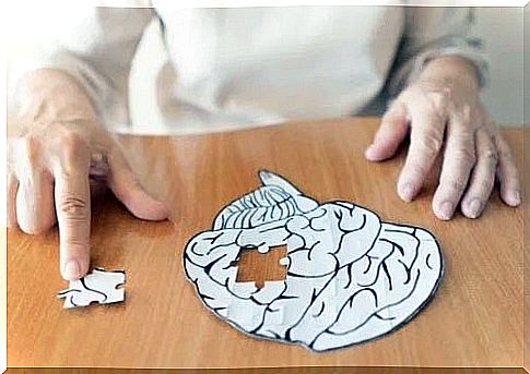 Puzzle with the human brain